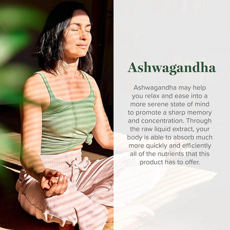 GLOBAL HEALING CENTER - Global Healing Center Organic Ashwagandha Drops 2 Fl.Oz. - The Red Vitamin MX - Suplementos Alimenticios - {{ shop.shopifyCountryName }}