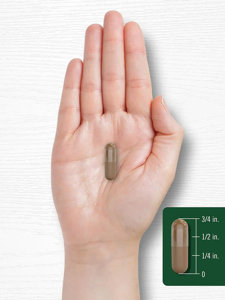CARLYLE - Carlyle Valerian Root Capsules 2400Mg. 240 Capsulas - The Red Vitamin MX - Suplementos Alimenticios - {{ shop.shopifyCountryName }}
