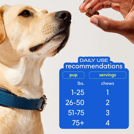 NATIVE PET - Native Pet Omega Skin and Coat Chews for Dogs 120 Masticables - The Red Vitamin MX - Aceite De Pescado Para Perros - {{ shop.shopifyCountryName }}