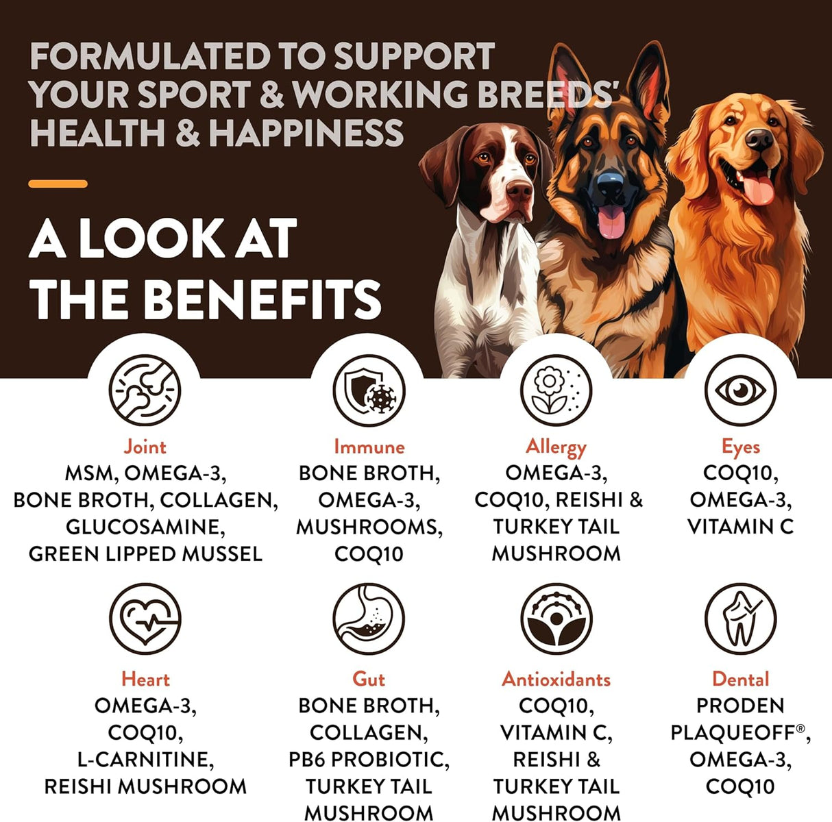 NATURVET - NaturVet Sport Breed Supplement 50 Masticables - The Red Vitamin MX - Suplementos Herbales Para Perros - {{ shop.shopifyCountryName }}