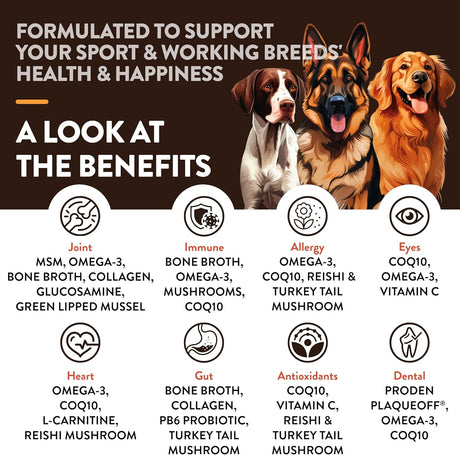 NATURVET - NaturVet Sport Breed Supplement 50 Masticables - The Red Vitamin MX - Suplementos Herbales Para Perros - {{ shop.shopifyCountryName }}