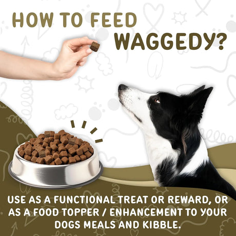 WAGGEDY - waggedy Daily Essentials Adult Soft Chews 60 Masticables 2 Pack - The Red Vitamin MX - Multivitamínicos Para Perros - {{ shop.shopifyCountryName }}