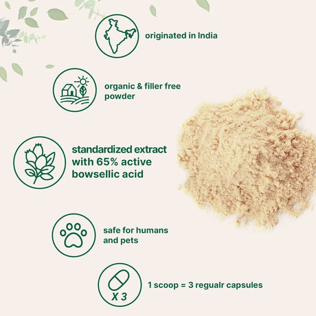 MICRO INGREDIENTS - Micro Ingredients Organic Boswellia Serrata Extract Powder 227Gr. - The Red Vitamin MX - Suplementos Alimenticios - {{ shop.shopifyCountryName }}