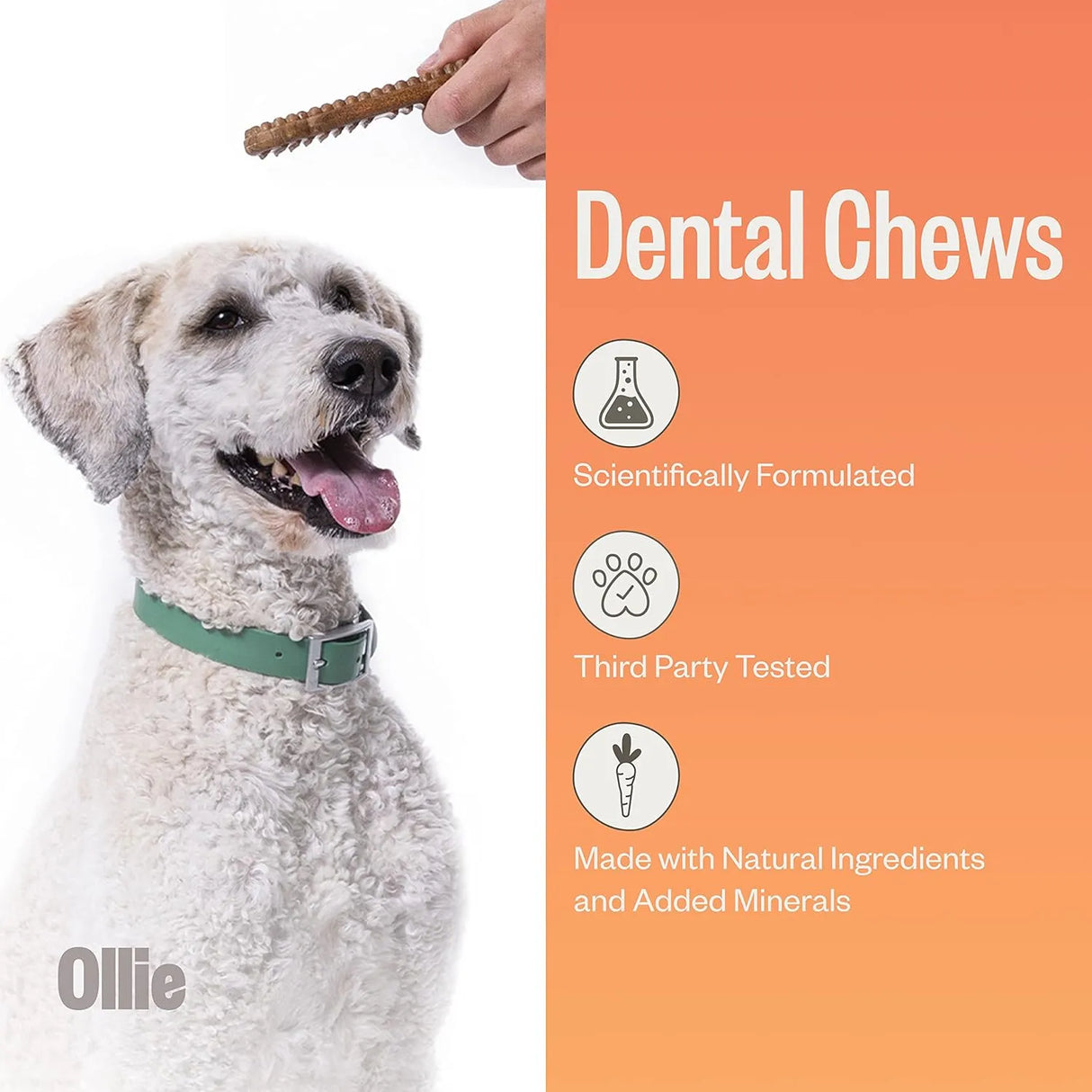 OLLIE - Ollie Dental Chews for Large Dogs 51 lbs and Above 8 Piezas - The Red Vitamin MX - Cuidado Dental Para Perros - {{ shop.shopifyCountryName }}