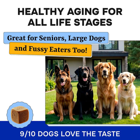 PAWSENTIAL - Pawsential Chewable Multivitamins + Probiotics, Omega 120 Masticables - The Red Vitamin MX - Multivitamínicos Para Perros - {{ shop.shopifyCountryName }}