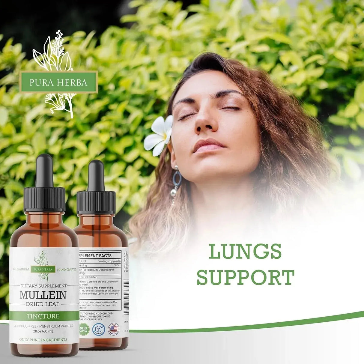 PURA HERBA - Pura Herba Mullein Leaf Tincture for Lungs 60Ml. - The Red Vitamin MX - Suplementos Alimenticios - {{ shop.shopifyCountryName }}