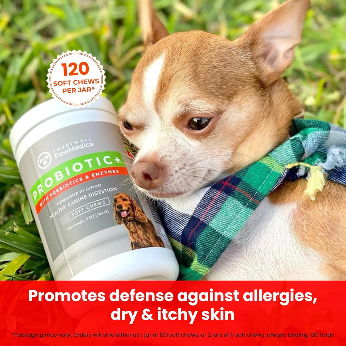 TRUSTWELL PAWMEDICA - TRUSTWELL PAWMEDICA Dog Probiotics and Digestive Enzymes 120 Masticables - The Red Vitamin MX - Probióticos Para Perros - {{ shop.shopifyCountryName }}