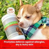 TRUSTWELL PAWMEDICA - TRUSTWELL PAWMEDICA Dog Probiotics and Digestive Enzymes 120 Masticables - The Red Vitamin MX - Probióticos Para Perros - {{ shop.shopifyCountryName }}