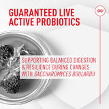 Royal Canin Probiotics for Cats Digestive and Immune Health Powder 30 Paquetes