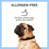 SPOT & TANGO - Spot & Tango Hip + Joint Supplement for Dogs 56 Masticables - The Red Vitamin MX - Cuidado De Cadera Y Articulaciones Para Perros - {{ shop.shopifyCountryName }}