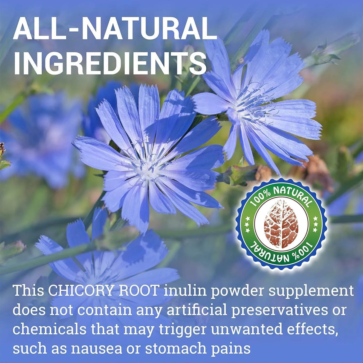 HERBALICIOUS - HERBALICIOUS Chicory Root 100 Capsulas - The Red Vitamin MX - Suplementos Alimenticios - {{ shop.shopifyCountryName }}