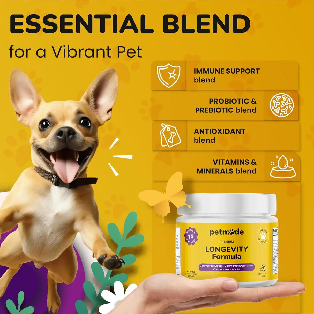 PETMADE - PETMADE Longevity Formula Turkey Tail Mushroom Antioxidant Dog 150Gr. - The Red Vitamin MX - Suplementos Herbales Para Perros - {{ shop.shopifyCountryName }}