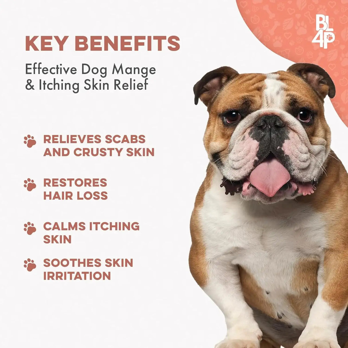 BESTLIFE4PETS - BestLife4Pets Mange Treatment for Dogs 400 Tabletas - The Red Vitamin MX - Remedios Para La Picazón De Perros - {{ shop.shopifyCountryName }}