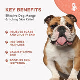 BESTLIFE4PETS - BestLife4Pets Mange Treatment for Dogs 400 Tabletas - The Red Vitamin MX - Remedios Para La Picazón De Perros - {{ shop.shopifyCountryName }}