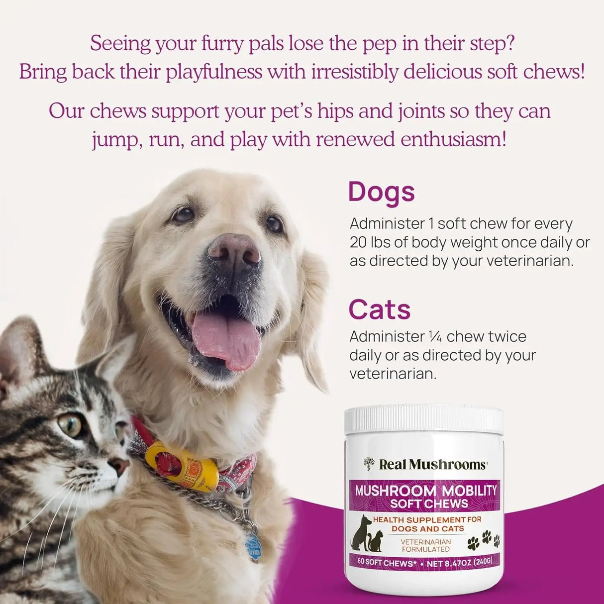 REAL MUSHROOMS - Real Mushrooms Mobility Chews for Dogs & Cats 60 Masticables - The Red Vitamin MX - Suplementos Herbales Para Perros - {{ shop.shopifyCountryName }}