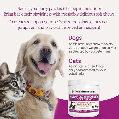 REAL MUSHROOMS - Real Mushrooms Mobility Chews for Dogs & Cats 60 Masticables - The Red Vitamin MX - Suplementos Herbales Para Perros - {{ shop.shopifyCountryName }}