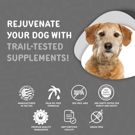 WAGGEDY - waggedy Daily Essentials Senior Soft Chews with Glucosamine 60 Masticables - The Red Vitamin MX - Multivitamínicos Para Perros - {{ shop.shopifyCountryName }}