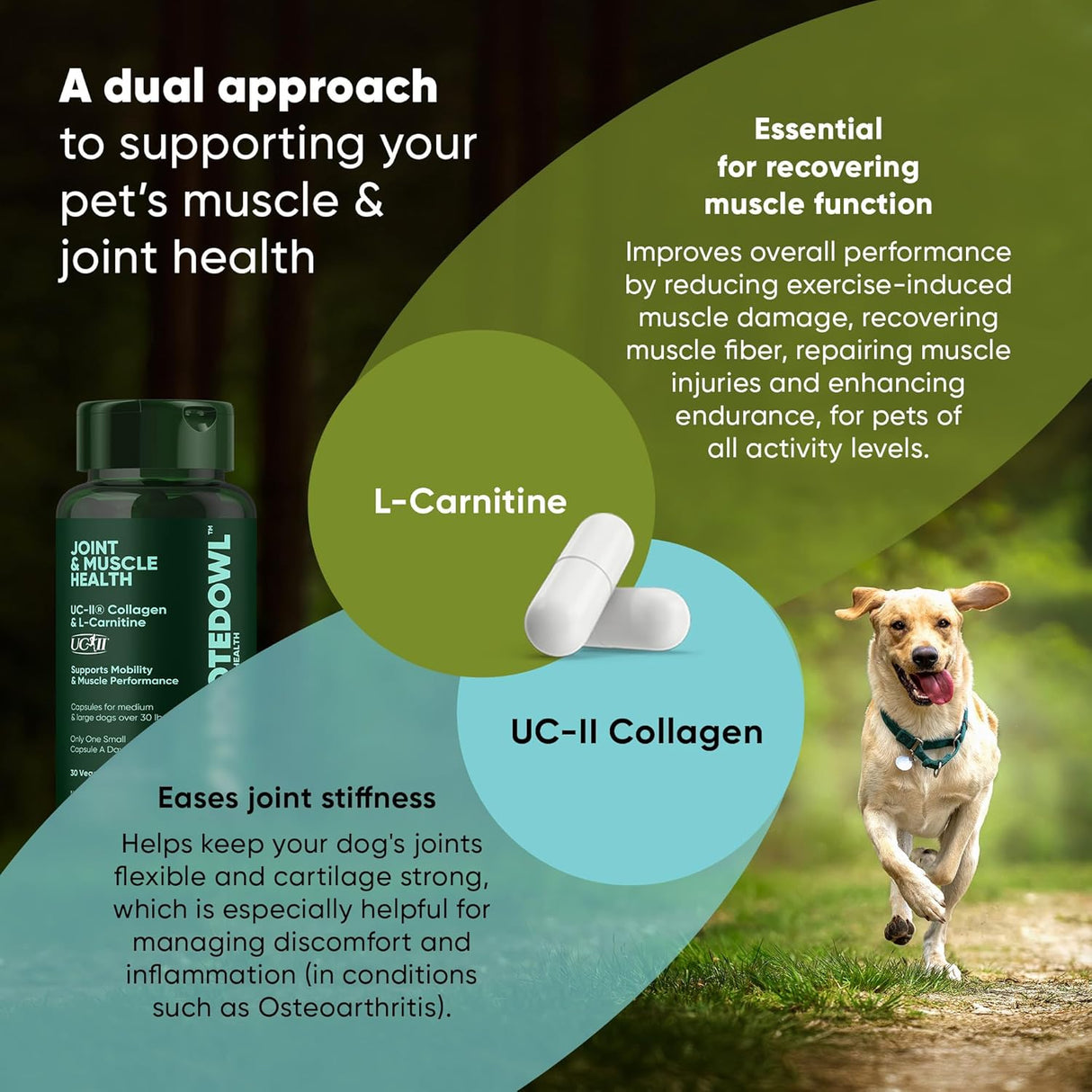 Rooted Owl Joint and Muscle Health Hip and Joint Supplement for Dogs 30 Capsulas