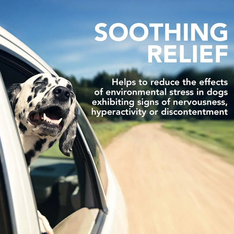 VET'S BEST - Vet's Best Comfort Calm Calming Soft Chews Dog 90 Masticables - The Red Vitamin MX - Relajantes Para Perros - {{ shop.shopifyCountryName }}