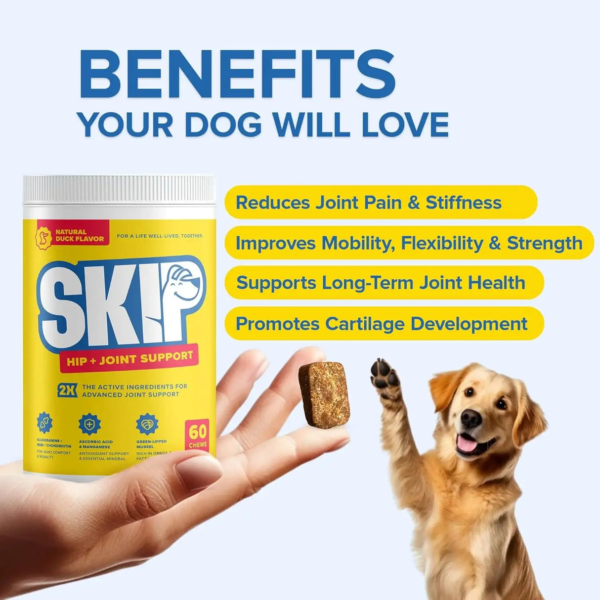 SKIP - SKIP Dog Hip and Joint Supplement 60 Masticables - The Red Vitamin MX - Cuidado De Cadera Y Articulaciones Para Perros - {{ shop.shopifyCountryName }}