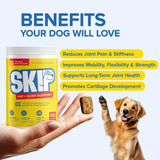 SKIP - SKIP Dog Hip and Joint Supplement 60 Masticables - The Red Vitamin MX - Cuidado De Cadera Y Articulaciones Para Perros - {{ shop.shopifyCountryName }}