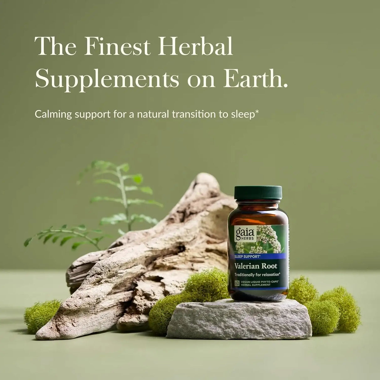 GAIA HERBS - Gaia Herbs Valerian Root 60 Capsulas - The Red Vitamin MX - Suplementos Alimenticios - {{ shop.shopifyCountryName }}