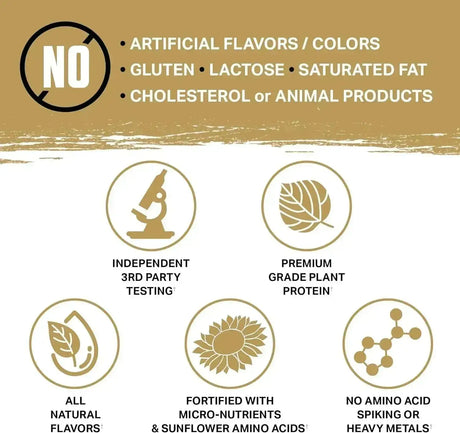 AMBROSIA - Ambrosia Planta Premium Organic Plant-Based Protein 25 Servicios Melted Chocolate 790Gr. - The Red Vitamin MX - Suplementos Alimenticios - {{ shop.shopifyCountryName }}