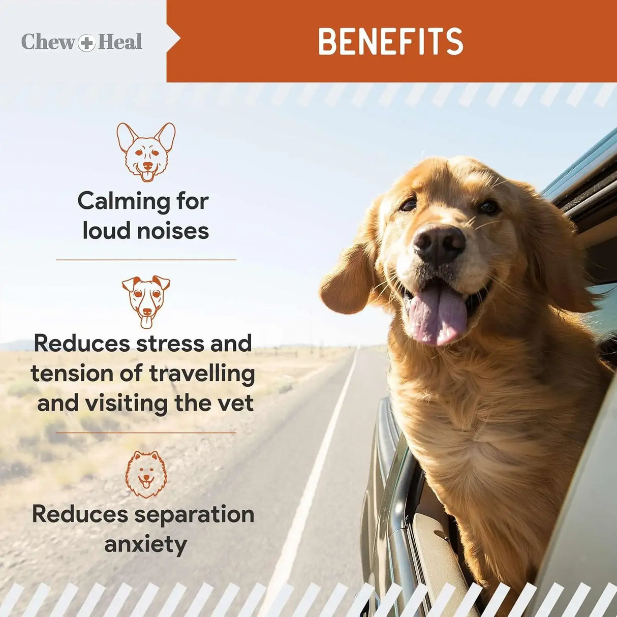 CHEW + HEAL - Chew + Heal Labs Calming Chews for Dogs Chicken 60 Masticables - The Red Vitamin MX - Relajantes Para Perros - {{ shop.shopifyCountryName }}