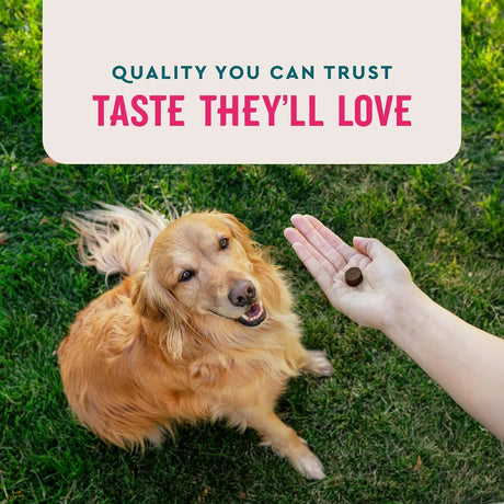 VETIQ - VetIQ Multivitamin Supplement for Dogs Hickory Smoke Flavored 60 Masticables - The Red Vitamin MX - Multivitamínicos Para Perros - {{ shop.shopifyCountryName }}