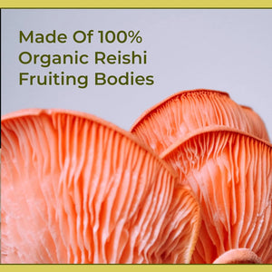 NATUREALM - Naturealm Reishi Mushroom Liquid 50Ml. - The Red Vitamin MX - Suplementos Alimenticios - {{ shop.shopifyCountryName }}