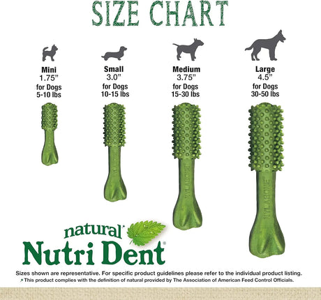 NYLABONE - Nylabone Nutri Dent Dog Dental Chews Mini 160 Piezas - The Red Vitamin MX - Cuidado Dental Para Perros - {{ shop.shopifyCountryName }}