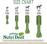 NYLABONE - Nylabone Nutri Dent Dog Dental Treats Fresh Breath Flavor Medium 40 Piezas - The Red Vitamin MX - Cuidado Dental Para Perros - {{ shop.shopifyCountryName }}