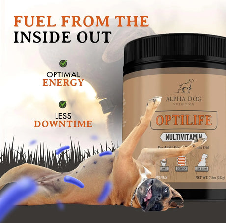 ALPHA DOG NUTRITION - Alpha Dog Nutrition OptiLife Dog Multivitamin Powder 60 Servicios 444Gr. - The Red Vitamin MX - Multivitamínicos Para Perros - {{ shop.shopifyCountryName }}