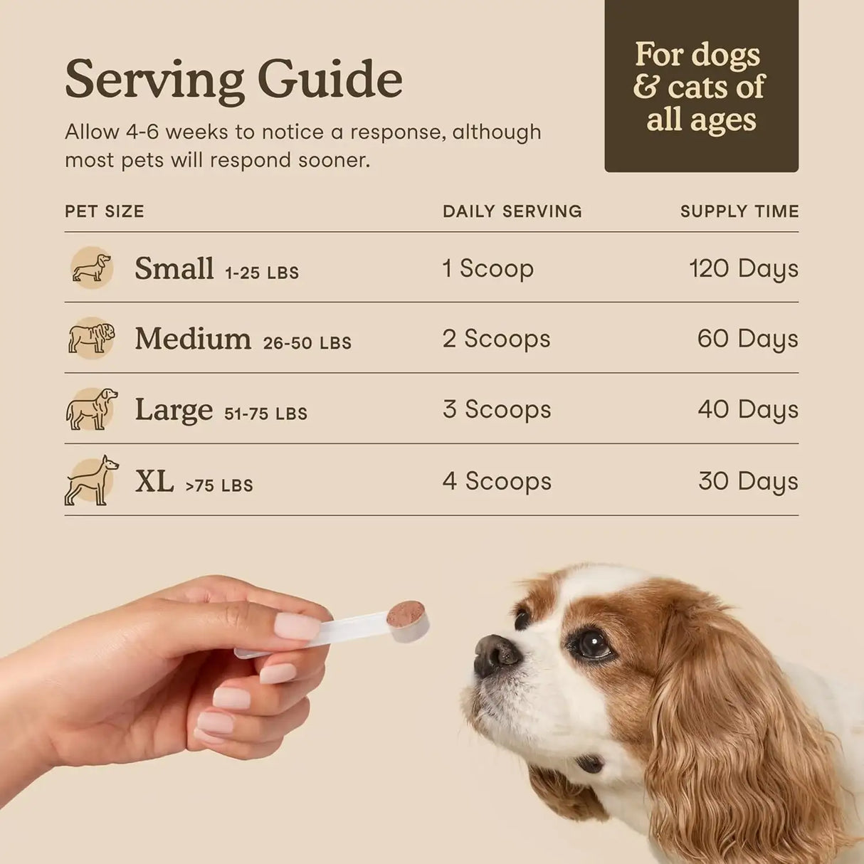 FERA PETS - Fera Pet Organics Turkey Tail Mushroom Supplement for Dogs 120 Servicios 60Gr. - The Red Vitamin MX - Suplementos Herbales Para Perros - {{ shop.shopifyCountryName }}