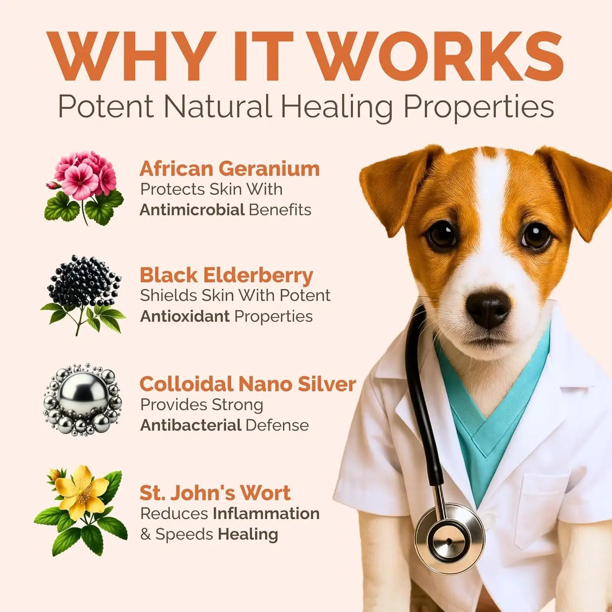 CLEARFUR - ClearFur Hot Spot & Itch Relief Skin Cream for Dogs & Cats 2 Oz. - The Red Vitamin MX - Remedios Para La Picazón De Perros - {{ shop.shopifyCountryName }}