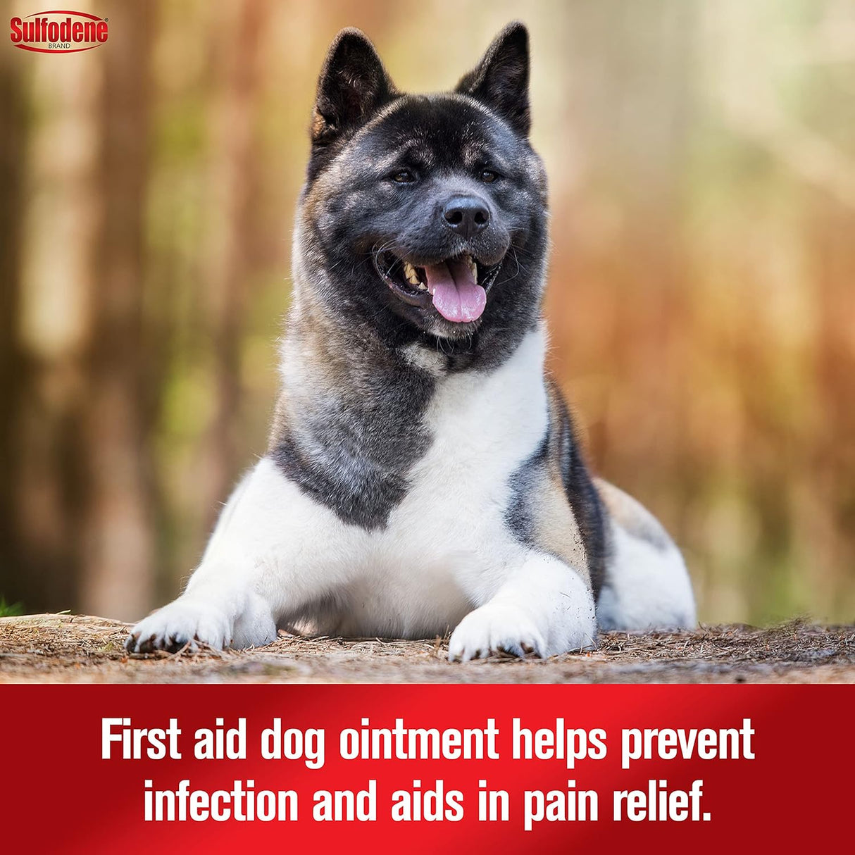 Sulfodene Dog Wound Care 3-Way Ointment 2 Oz.