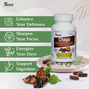 SAYAN - Sayan Siberian Chaga Mushroom Extract 90 Capsulas - The Red Vitamin MX - Suplementos Alimenticios - {{ shop.shopifyCountryName }}