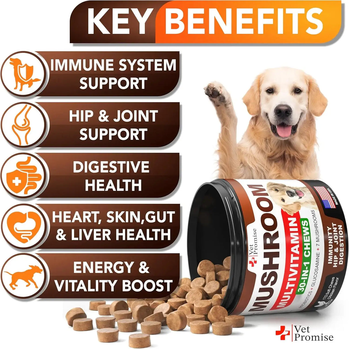 VET PROMISE - Vet Promise Mushroom for Dogs 170 Masticables 2 Pack - The Red Vitamin MX - Suplementos Herbales Para Perros - {{ shop.shopifyCountryName }}