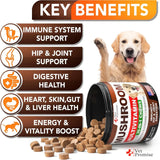 VET PROMISE - Vet Promise Mushroom for Dogs 170 Masticables 2 Pack - The Red Vitamin MX - Suplementos Herbales Para Perros - {{ shop.shopifyCountryName }}