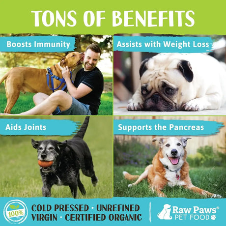 RAW PAWS - Raw Paws Virgin Organic Coconut Oil for Dogs & Cats 16 Oz. - The Red Vitamin MX - Remedios Para La Picazón De Perros - {{ shop.shopifyCountryName }}