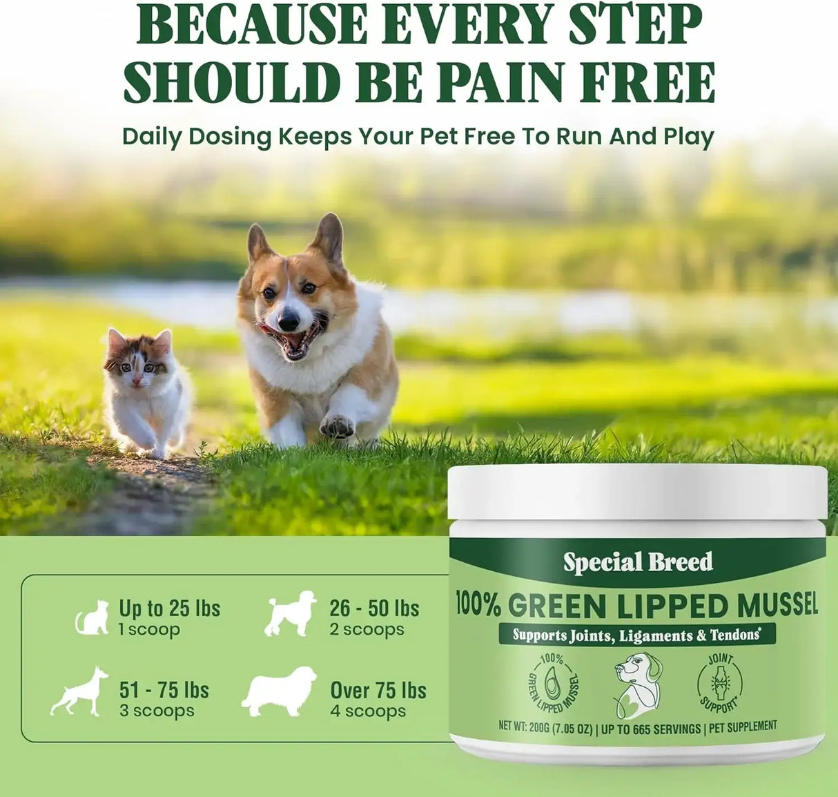 SPECIAL BREED - Special Breed Green Lipped Mussel Powder for Dogs & Cats 200Gr. - The Red Vitamin MX - Cuidado De Cadera Y Articulaciones Para Perros - {{ shop.shopifyCountryName }}