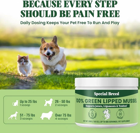 SPECIAL BREED - Special Breed Green Lipped Mussel Powder for Dogs & Cats 200Gr. - The Red Vitamin MX - Cuidado De Cadera Y Articulaciones Para Perros - {{ shop.shopifyCountryName }}