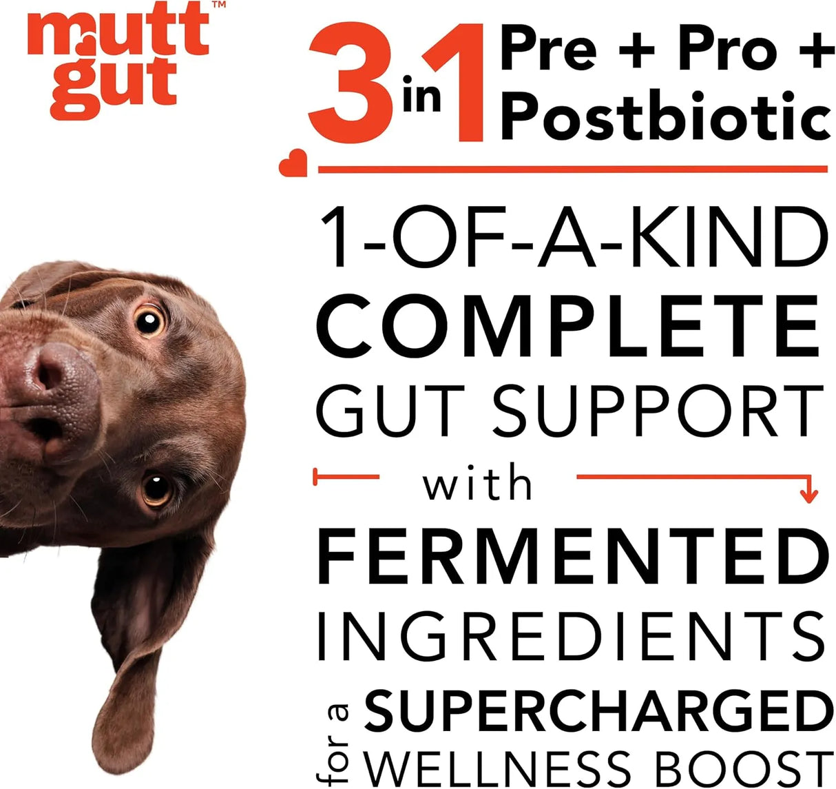 MUTTGUT - MUTTGUT All-Natural 3-in-1 Dog Probiotic 180Gr. - The Red Vitamin MX - Probióticos Para Perros - {{ shop.shopifyCountryName }}