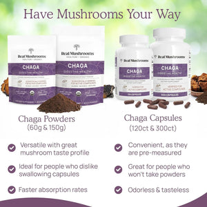 REAL MUSHROOMS - Real Mushrooms Chaga Powder 60Gr. - The Red Vitamin MX - Suplementos Alimenticios - {{ shop.shopifyCountryName }}