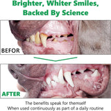 HONGYEE - HONGYEE Dog Dental Powder 300Gr. - The Red Vitamin MX - Cuidado Dental Para Perros - {{ shop.shopifyCountryName }}