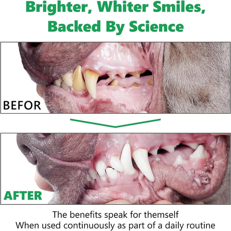 HONGYEE - HONGYEE Dog Dental Powder 300Gr. - The Red Vitamin MX - Cuidado Dental Para Perros - {{ shop.shopifyCountryName }}