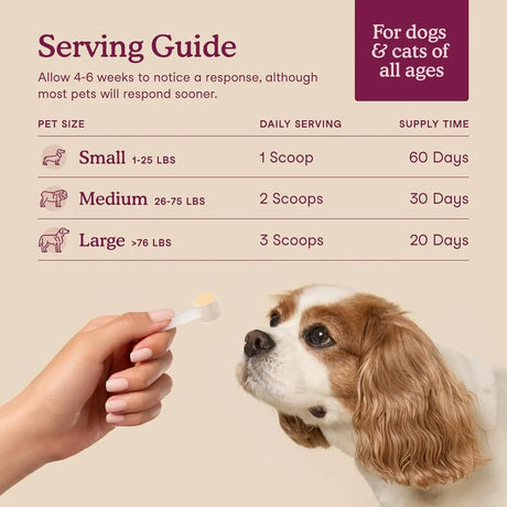 FERA PETS - Fera Pet Organics Bladder Cranberry Supplement for Dogs 60 Servicios - The Red Vitamin MX - Salud De Tracto Urinario Para Perros - {{ shop.shopifyCountryName }}