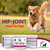 GENUINE NATURALS - Genuine Naturals Hip and Joint Supplement for Dogs 120 Masticables - The Red Vitamin MX - Cuidado De Cadera Y Articulaciones Para Perros - {{ shop.shopifyCountryName }}