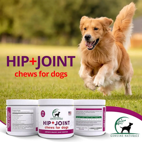 GENUINE NATURALS - Genuine Naturals Hip and Joint Supplement for Dogs 120 Masticables - The Red Vitamin MX - Cuidado De Cadera Y Articulaciones Para Perros - {{ shop.shopifyCountryName }}