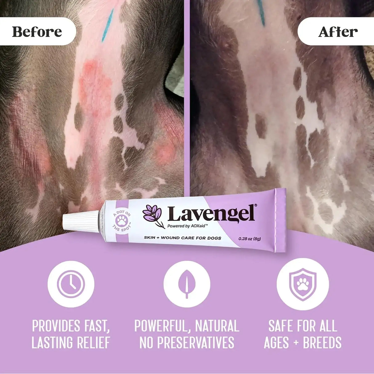 LAVENGEL - Lavengel for Dogs Reduces Skin Irritations and Itching 8Gr. - The Red Vitamin MX - Remedios Para La Picazón De Perros - {{ shop.shopifyCountryName }}